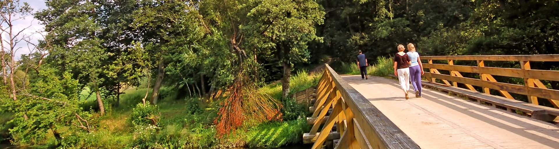People walking a path in the forest